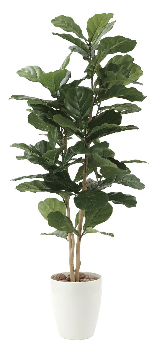 カシワバゴム1.35商品イメージ