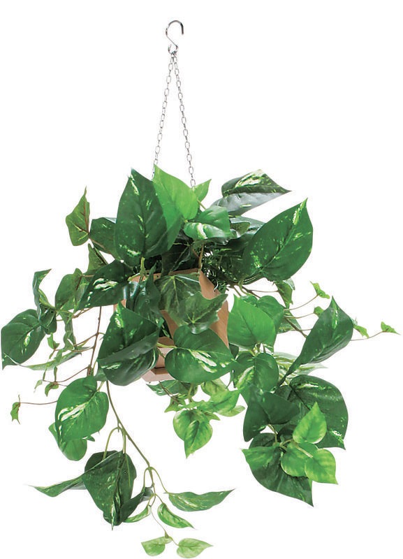 ワークスペース緑化プラン＋家具セット ｜セットプラン｜オフィス緑化ラボ