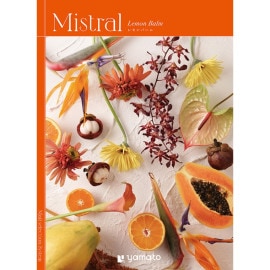 【選べるギフト Mistral(ミストラル)】Lemon Balm(レモンバーム)