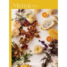 【選べるギフト Mistral(ミストラル)】Plumeria(プルメリア)