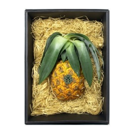 【琉貿果実苑】沖縄パイン　化粧箱入　(090035)