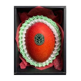 【琉貿果実苑】宮崎県産完熟マンゴー　1個　化粧箱入り