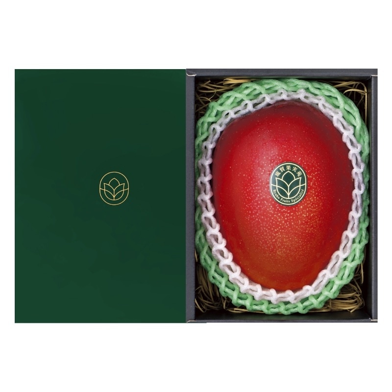 ［琉貿果実苑］沖縄県産「生産者指定」プレミアムマンゴー（５Ｌ）１玉化粧箱　ＰＭ１