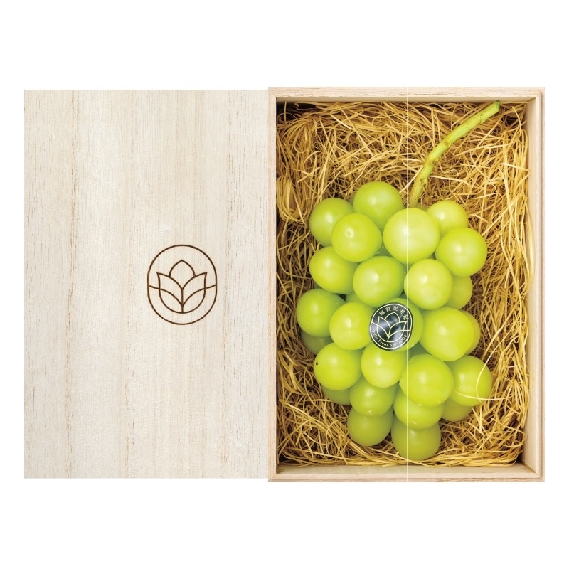 マンゴー2個 マンゴー 2個」の人気商品一覧 | 安い商品を通販サイトから探す