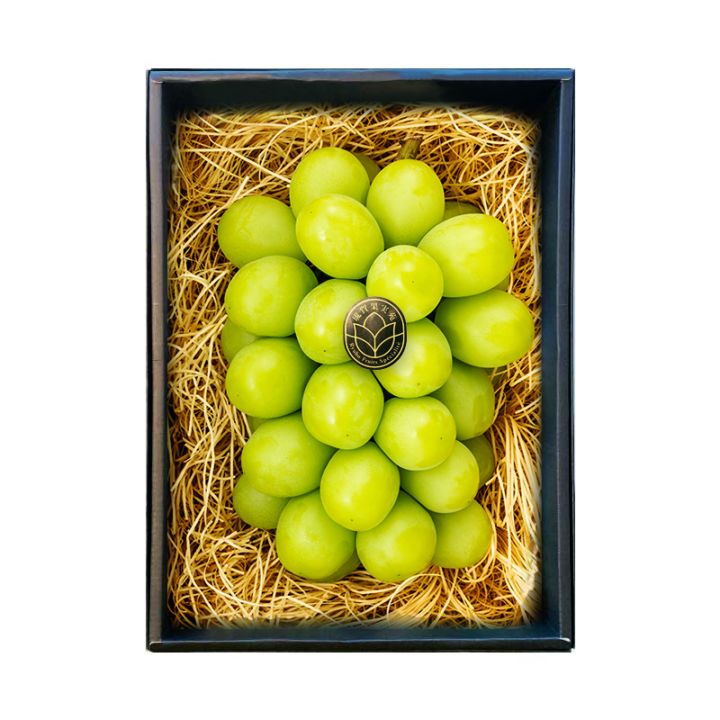 信州産　紅ルバーブ　　キロ以上　ブルーベリーおまけプレゼント♪ 楽天市場】富士見 町 ルバーブの通販