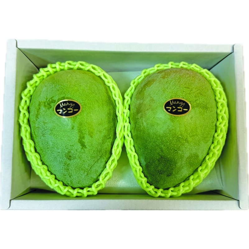 マティダファーム］宮古島産マンゴー1kg(紅果宝) | 2026お中元 | RYUBO