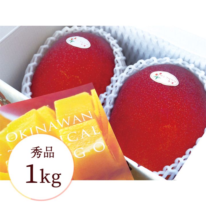 サンフルーツ糸満］沖縄県産マンゴー秀品 1kg | 2026お中元 | RYUBO