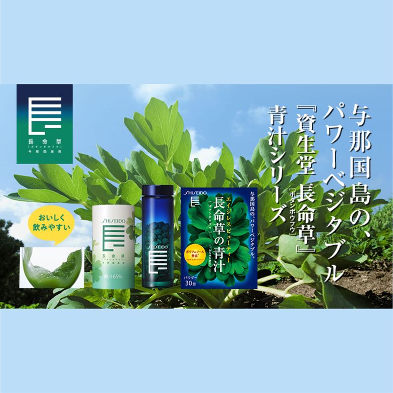 SHISEIDO】長命草 ＜ドリンク＞N 10本 | ギフト,ビューティーギフト