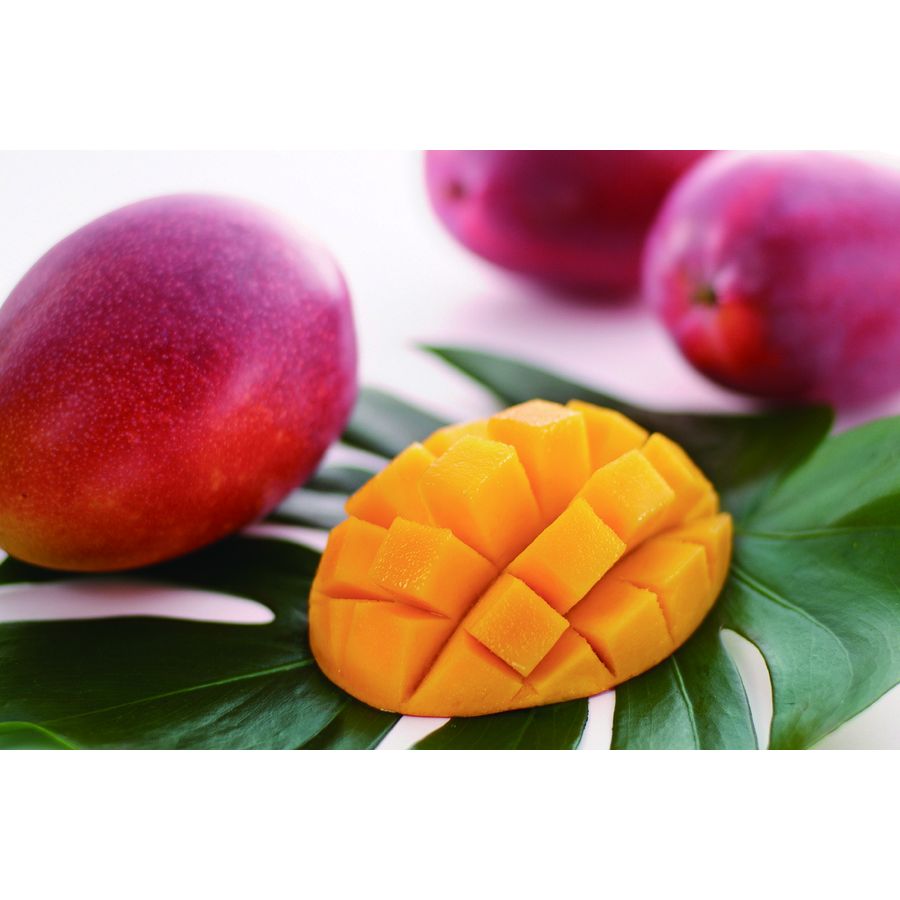 万果】沖縄マンゴートロピカルギフト ゼリー10個セット MJ10