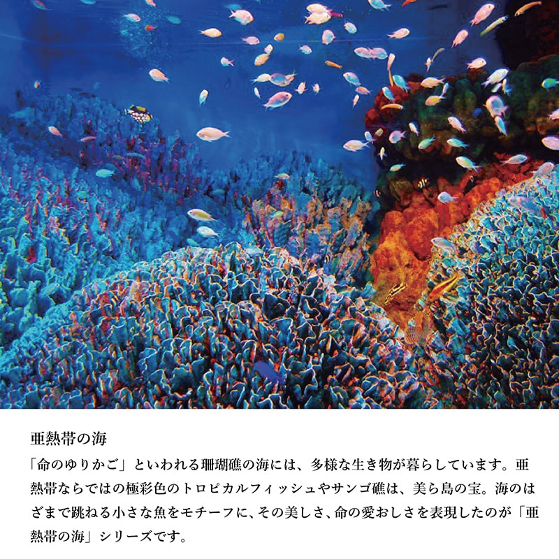 亜熱帯の海グラス(ペア) | すべての商品 | 琉球ガラス村 (TS