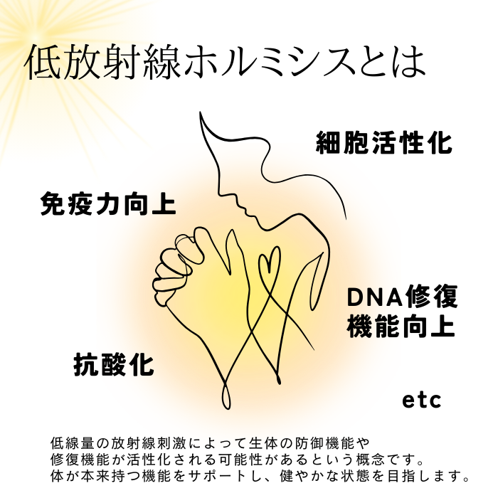 【レンタルOK】ラドン温熱マット ラジウム鉱石 温活 座布団 低放射線ホルミシス