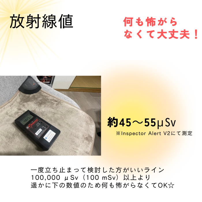 【レンタルOK】ラドン温熱マット ラジウム鉱石 温活 座布団 低放射線ホルミシス