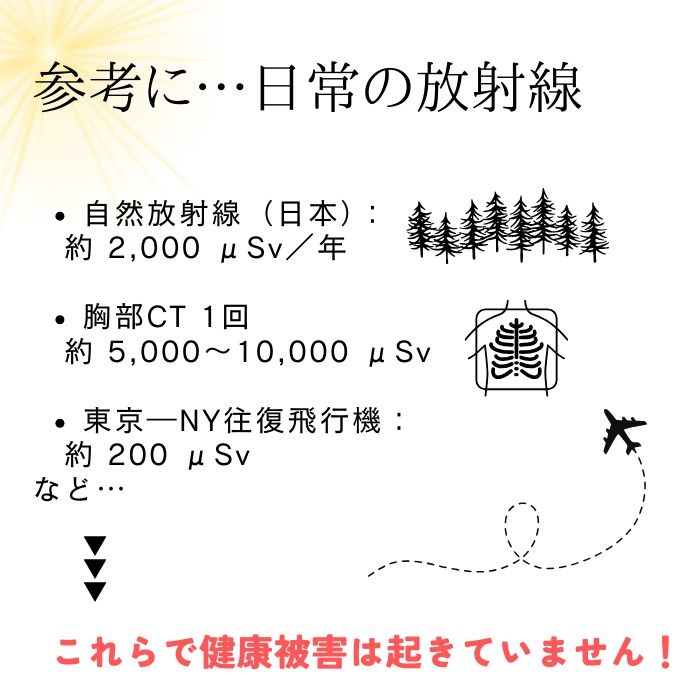 【レンタルOK】ラドン温熱マット ラジウム鉱石 温活 座布団 低放射線ホルミシス