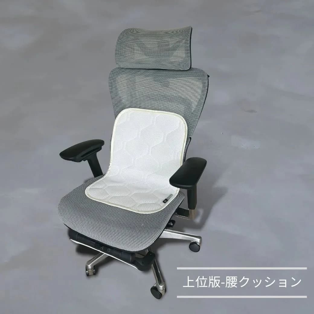 SLEEP HEXAGON ホルミシス腰クッション 洗濯機可 ラジウム鉱石 低