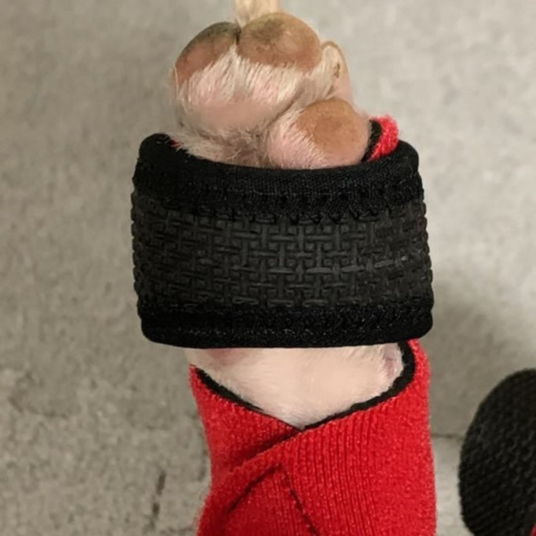 【送料無料】ホッとドッグシューズ SSサイズ 2個セット 犬用サポーター ケガ予防 足裏・足首サポート