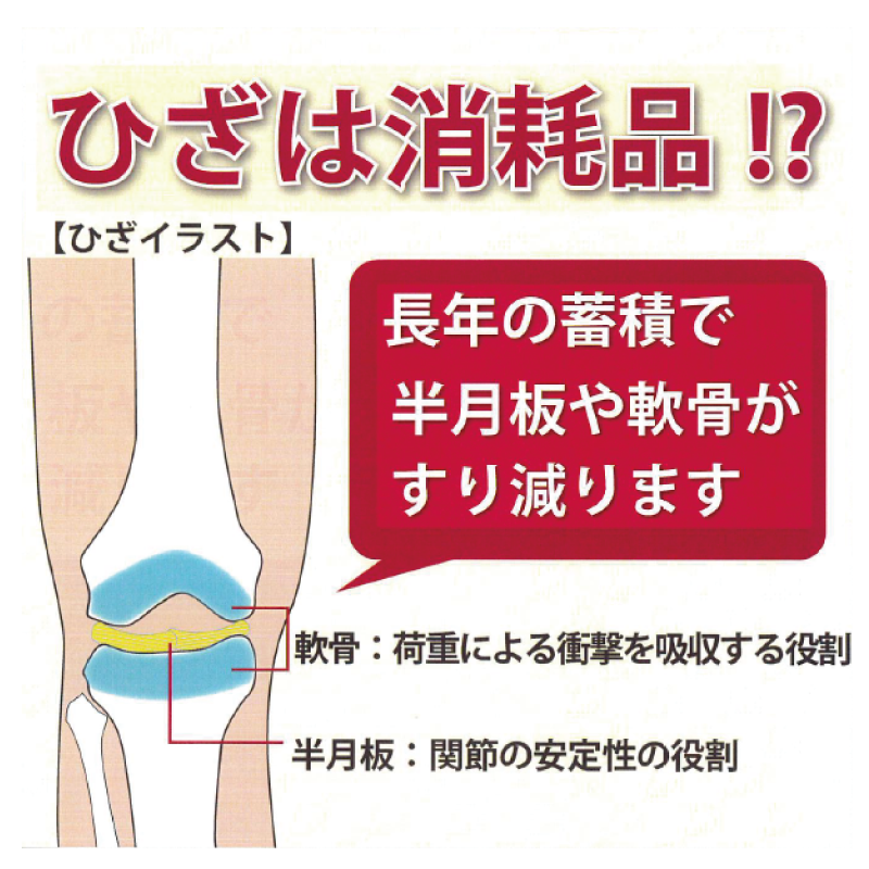 水陸両用『保温』サポーター ひざ用 男女兼用 左右兼用 1枚入り(SP01)