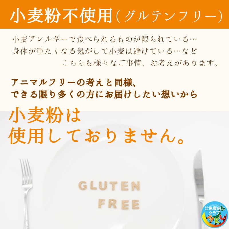 【お一人2食まで】送料込　驚異の96kcal　大豆ミートベジカレー 　グルテンフリー　動物性不使用　SDGS素材配合　シンプル原料　スパイス香る　本格派　※お届け時間の指定はできません　