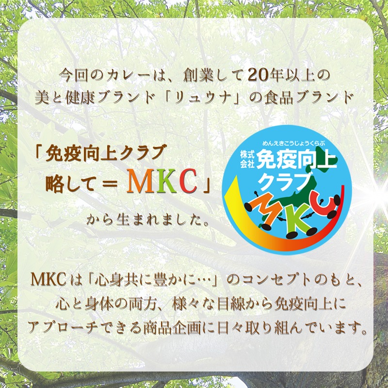 【3食セット】送料込　驚異の96kcal　大豆ミートベジカレー 　グルテンフリー　動物性不使用　SDGS素材配合　シンプル原料　スパイス香る　本格派　