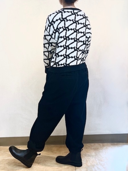 Si-Si-Si/ ץ륪С˥åȡ 2024-AW120̵