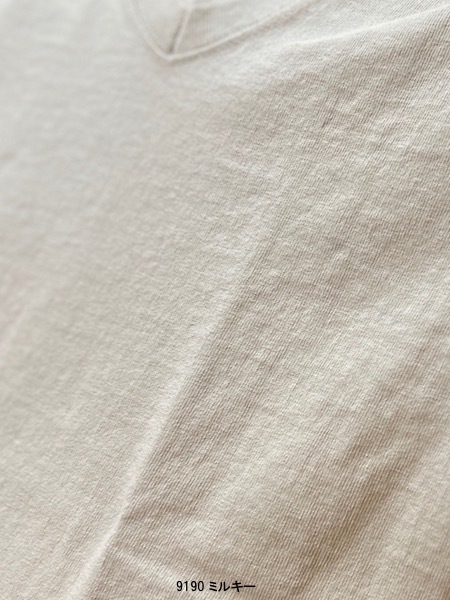 GOODWEAR/���åɥ���������7.2oz V-NECK S/SL CUFF AND��HEM RIB������NGW1701���إ���å��ݥ����б���