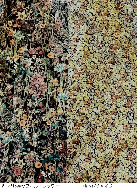 Vent ouest /ɥȡХƥߥå 㥶ȡVE37505̵ϡؤ椦ѥåб