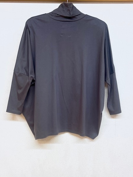 SI-HIRAI/ҥ饤SQUID-T CHAW25-4007 [̵]