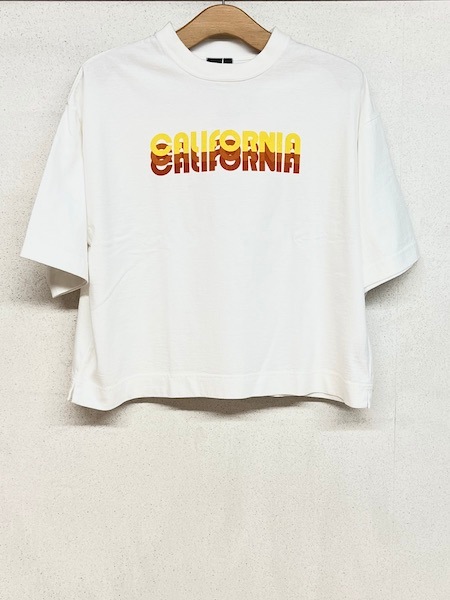 seeset/å BASIC PRINT PIGMENT HSSE251607  ؤ椦ѥåб