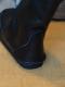 JEFFREY CAMPBELL/�����ե꡼�����٥롡�ߥɥ�֡���CT-12������NJCB0951��[����̵��]