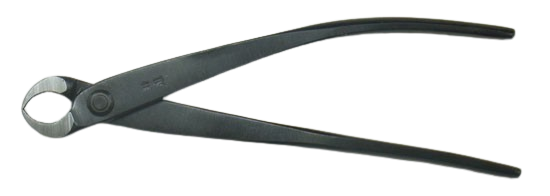 盆栽 コブ切 (兼進作) ミニ 全長145mm No.8B