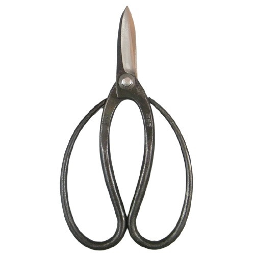 兼進刃物 盆栽道具 盆栽鋏 特製 全長175mm No.42A 【お取り寄せ】