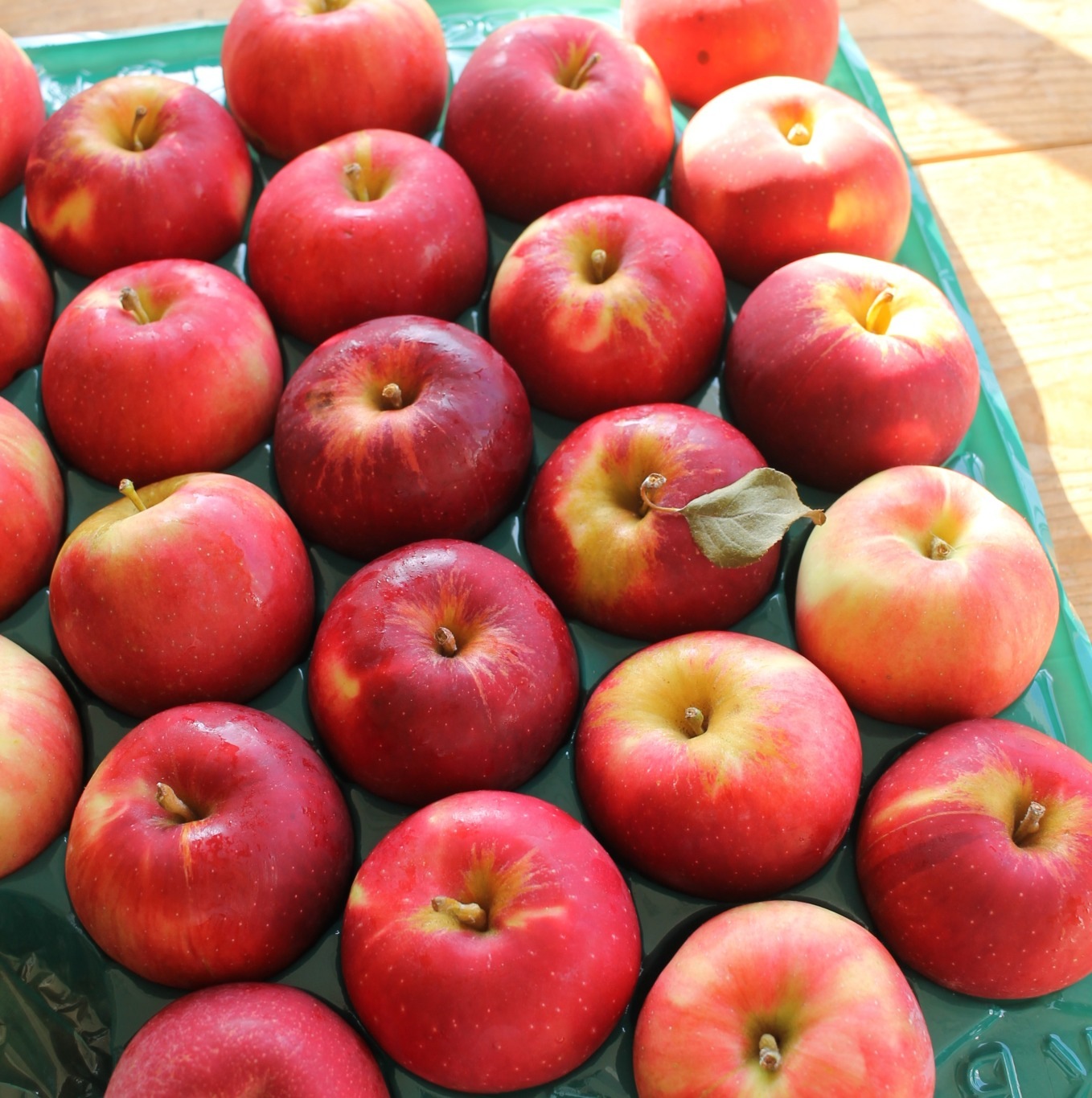 �ȶ��Ӹ�Υ��������������������ꥯ���֥��