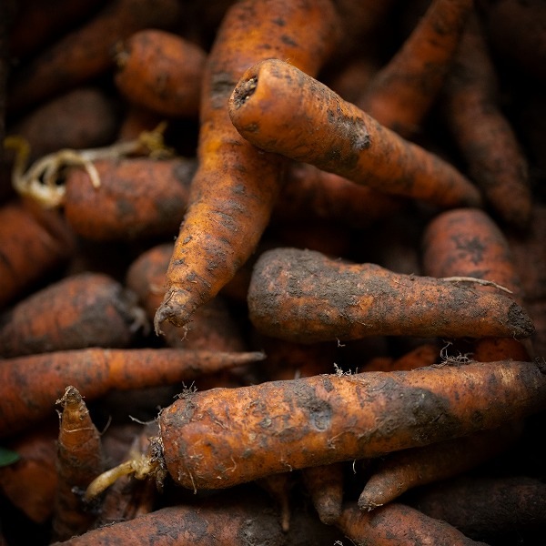 �ڿ��̸���۹��ǥɥ�å��󥰡�ɹ�������ͻ���