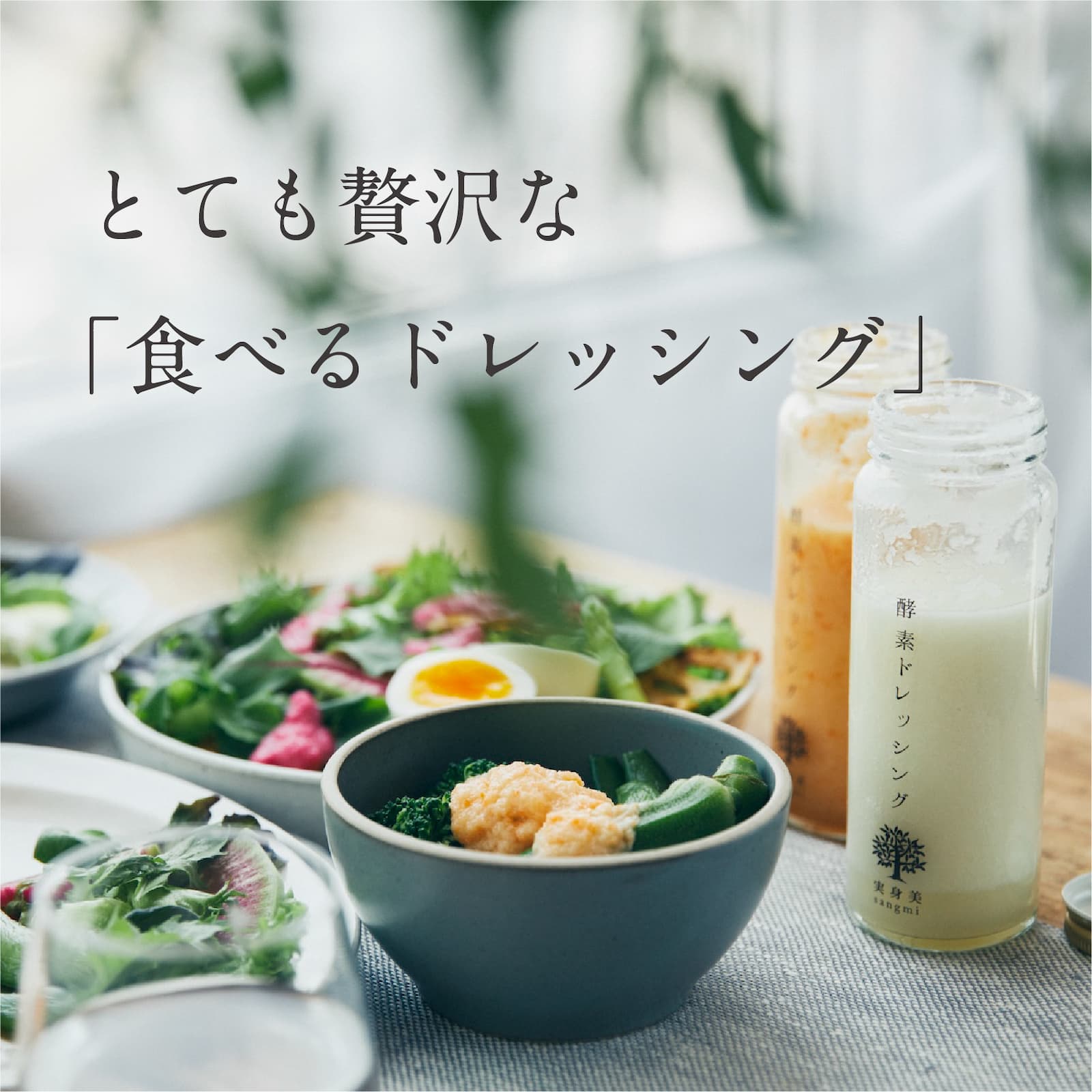 ���ǥɥ�å��󥰡ʥץ졼���