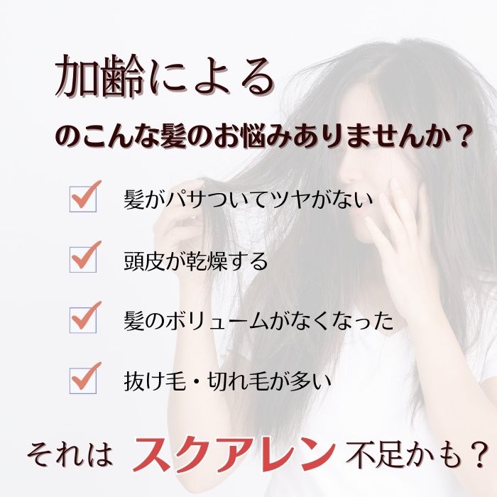 500mL󥷥סȥ꡼ȥȥå