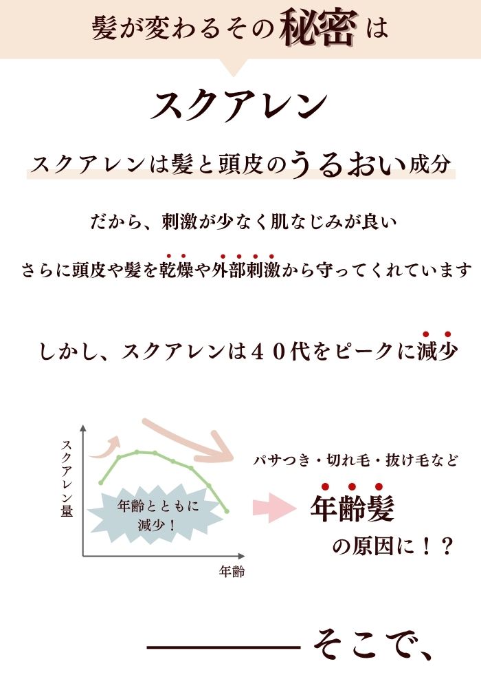 ڤ1,600ߡ5֥åsVEAS󥷥סȥ꡼ȥ