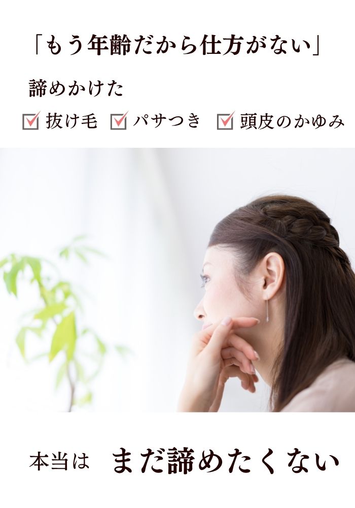 ڤ1,600ߡ5֥åsVEAS󥷥סȥ꡼ȥ