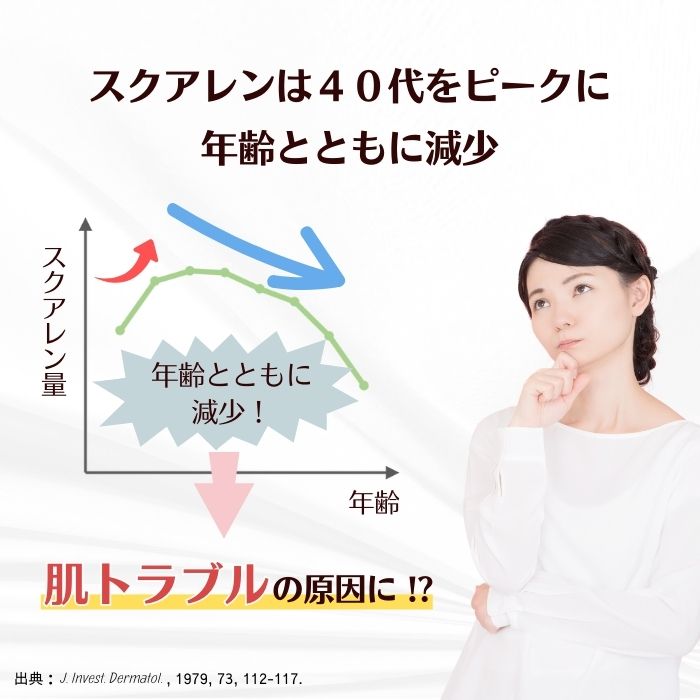 ڥեȢۥ󥱥å ƥ 륤󥸥 ƥ꡼