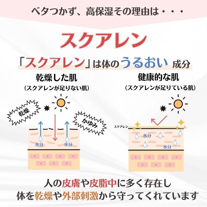 ڥեȢۥ󥱥å ƥ 륤󥸥 ƥ꡼