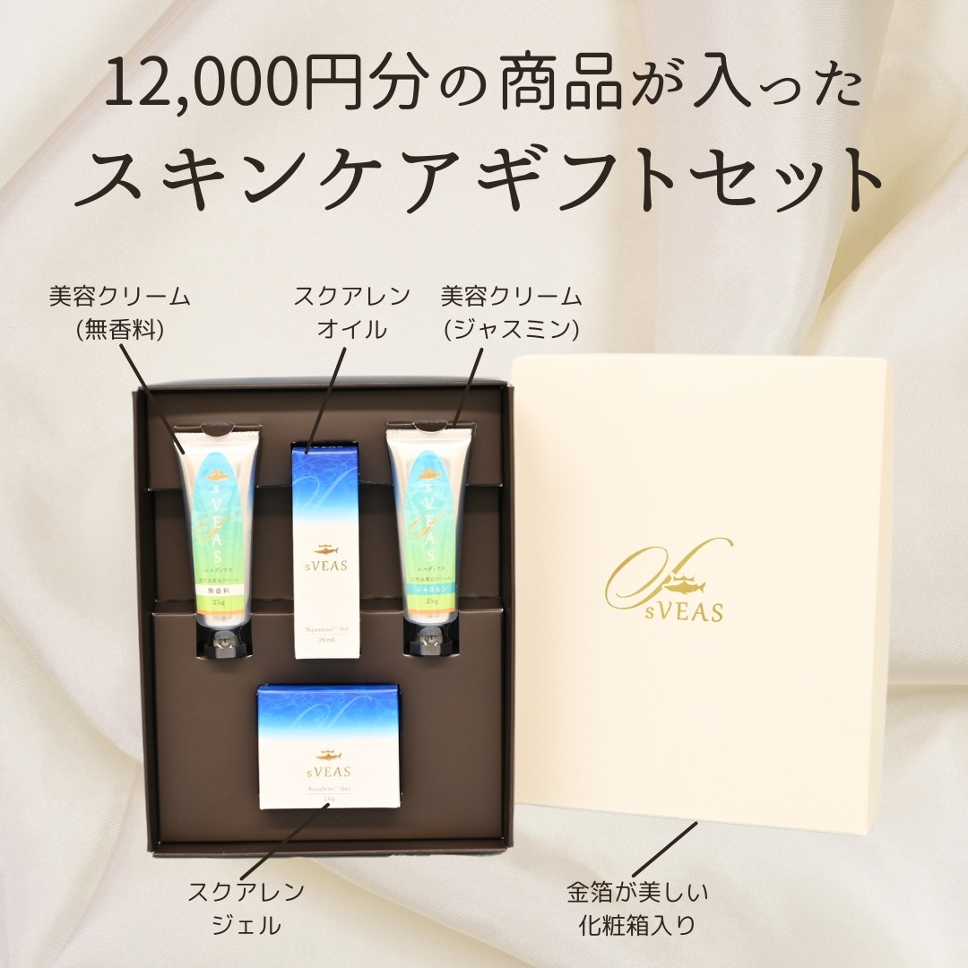 ڥեȢۥ󥱥å ƥ 륤󥸥 ƥ꡼