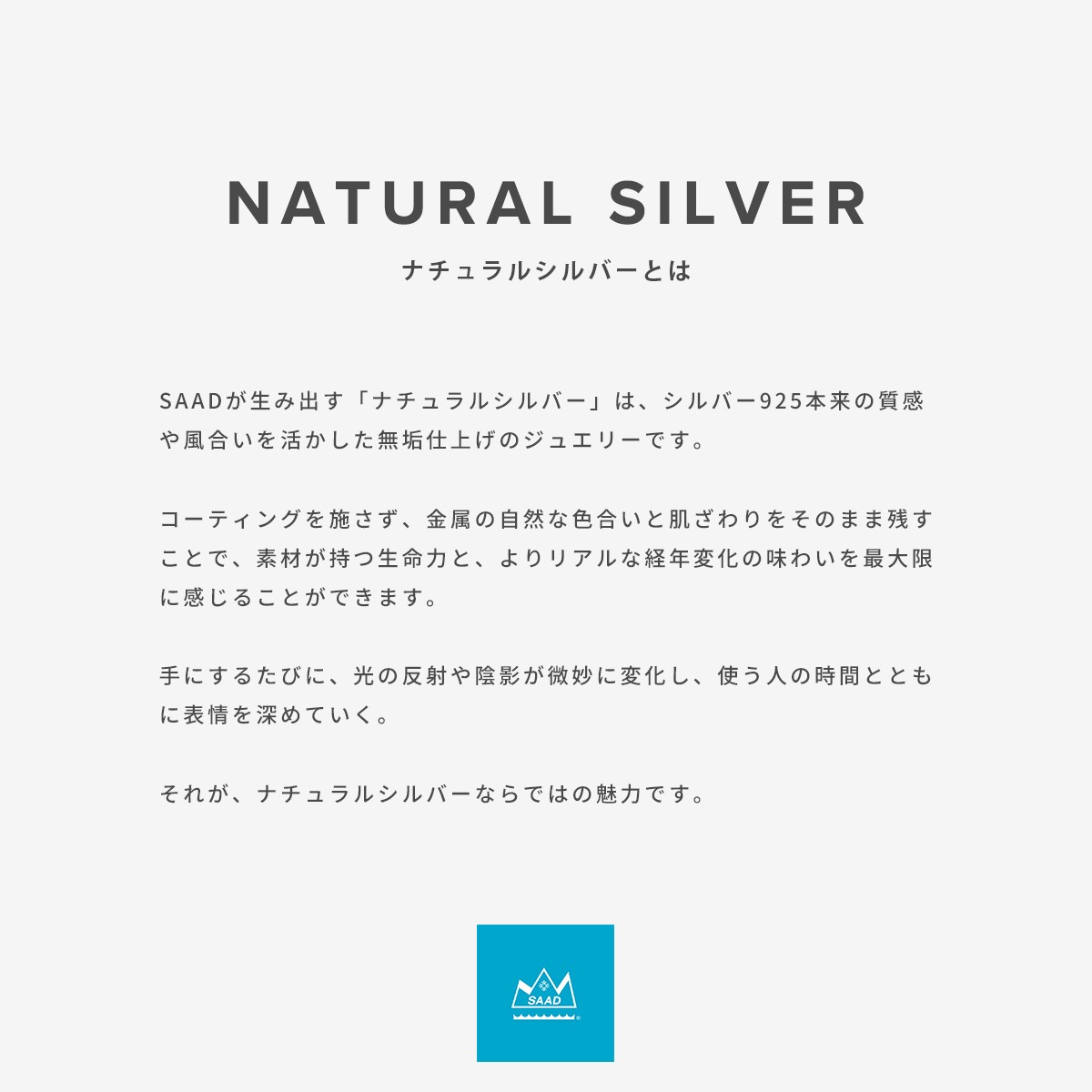 イーグル シルバー925 ナチュラルシルバー(無垢仕上げ) ブロンズ ゴールドプレート ペンダントトップ