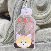 Jelly�����ۥ����������(�����ۥ�����դ�/��ᡦ�����������ϡ�