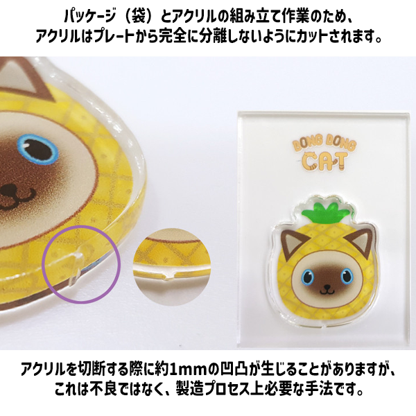 ѡꡦܥǥޥۥ(Ʃϡܡӡꡦܡդ