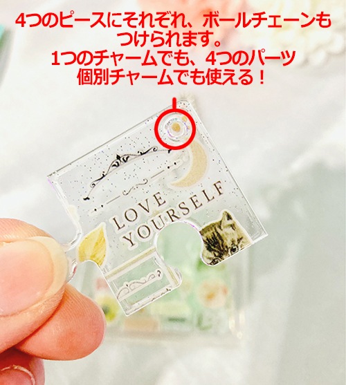 jelly�ѥ�����㡼��ʥ�����ϡ����С�&�ܡ�����������դ���