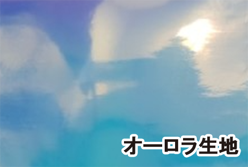 PVC�ɥ�󥯥ۥ�����������顦������ϡʥͥå����ȥ�å��դ�����������ɲò�ǽ��