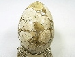 SEM0029 �ե��å��奸�㥹�ѡ� ���å��ʥ���ɻ���