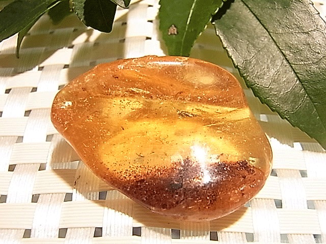 CMM0101N 琥珀(こはく) 虫入り | ヒーリングアイテム,原石 | 鎌倉聖石 SacredStones