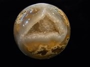 CCI0001F �ȥ쥸�㡼 �������� �ݶ̡��ɥ饴�󥢥����ȡ����ﾽƶ