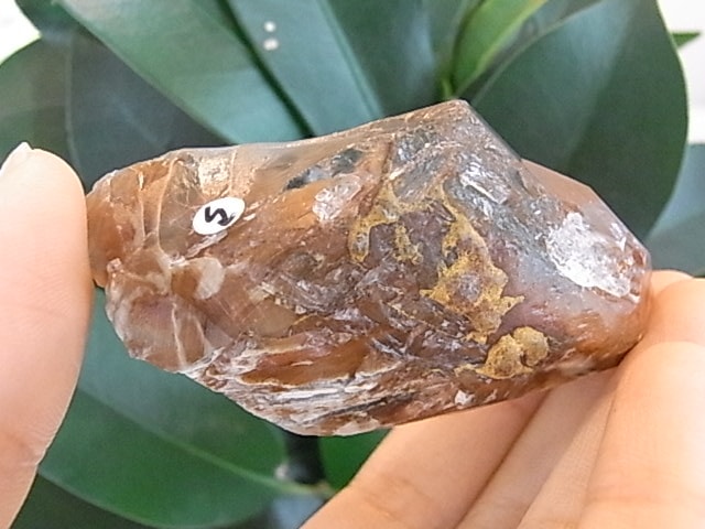 BU00294F エンジェルファントムレムリア水晶 | すべての商品 | 鎌倉