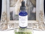 SA00010Fꥹ륨å󥹡ʥå󥹡˥