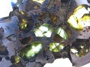 GA00117Fѥ饵ȡʥƥ饤ȡ С饤ʻ